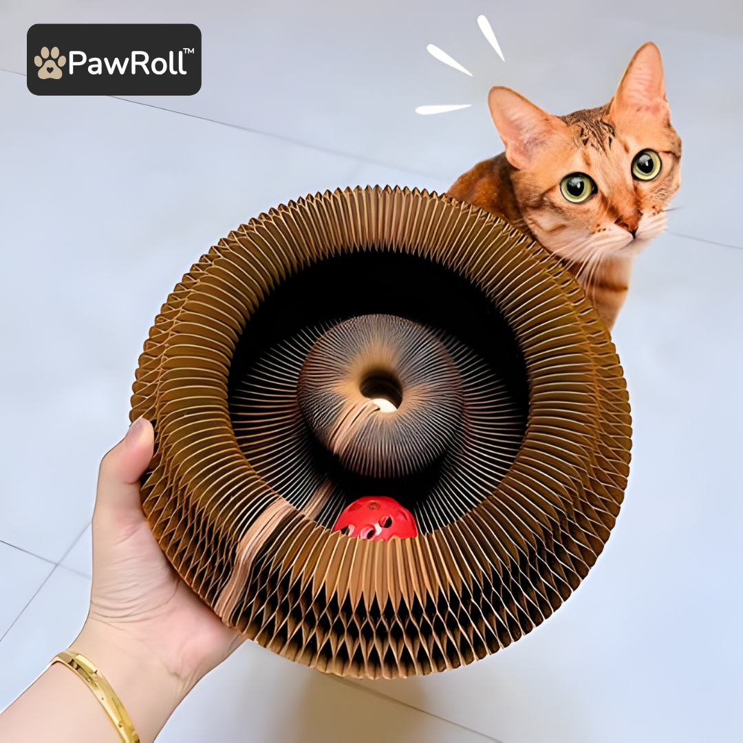 PowRoll™ Macska kaparófás játék