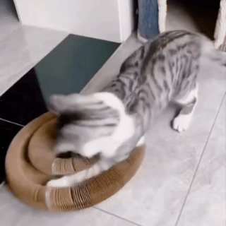 PawRoll™ Macska kaparófás játék
